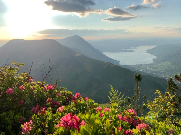 Auf der Hochflue, Richtung Rigi und Zugersee.