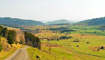 Moorlandschaft Rothenthurm