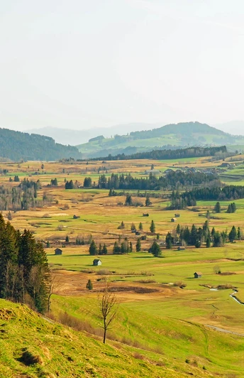 Moorlandschaft Rothenthurm