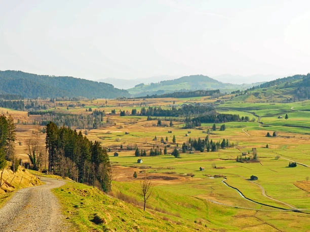 Moorlandschaft Rothenthurm