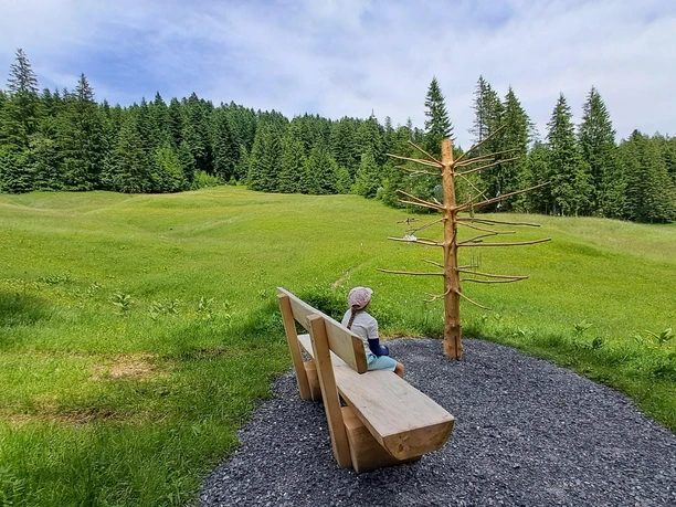 Auszeith geniessen - Auszeithweg Rothenthurm