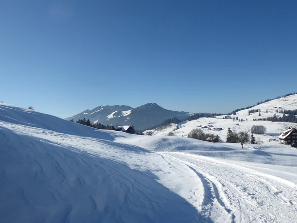 Schneeschuhtour Biberegg - Mostelberg / Blick Richtung Wildspitz
