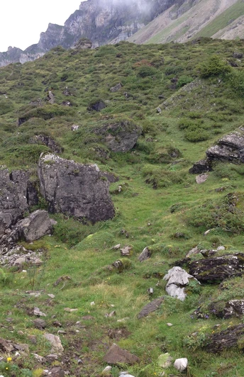 Das wildromantische Weidegebiet auf der Seenalp
