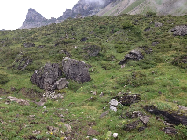 Das wildromantische Weidegebiet auf der Seenalp