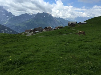 Blcik auf die Alp Heidmannegg mit Alpbeizli