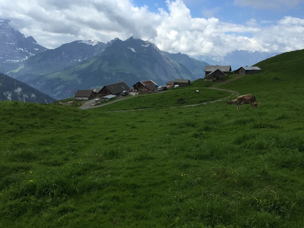 Blcik auf die Alp Heidmannegg mit Alpbeizli