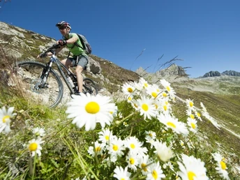 Luterensee-Bike-Tour: Mitten durch die schönsten Alpweiden