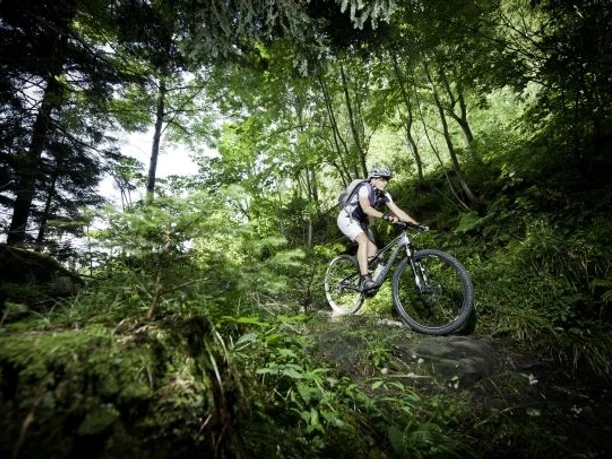 Bike-Tour Urner Unterland: Abwechlsungsreiches Gelände!