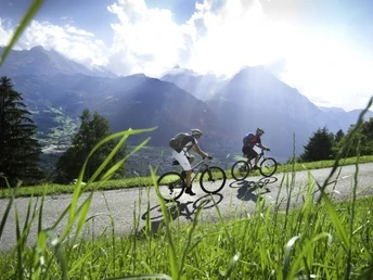 Bike-Tour Urner Unterland: Viel Abwechslung - und Altdorf immer im Blickfeld!