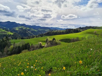 Typische Napflandschaft bei Menzberg