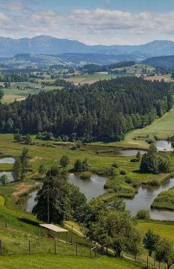 Blick auf die Weiherlandschaft Ostergau