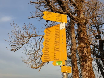 Viele Wege führen auf den Napf....