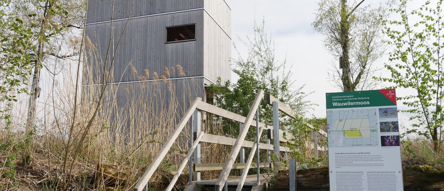 Aussichtsturm im Naturschutzgebiet Wauwilermoos