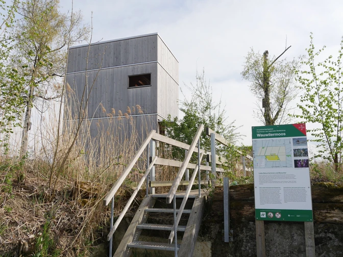 Aussichtsturm im Naturschutzgebiet Wauwilermoos