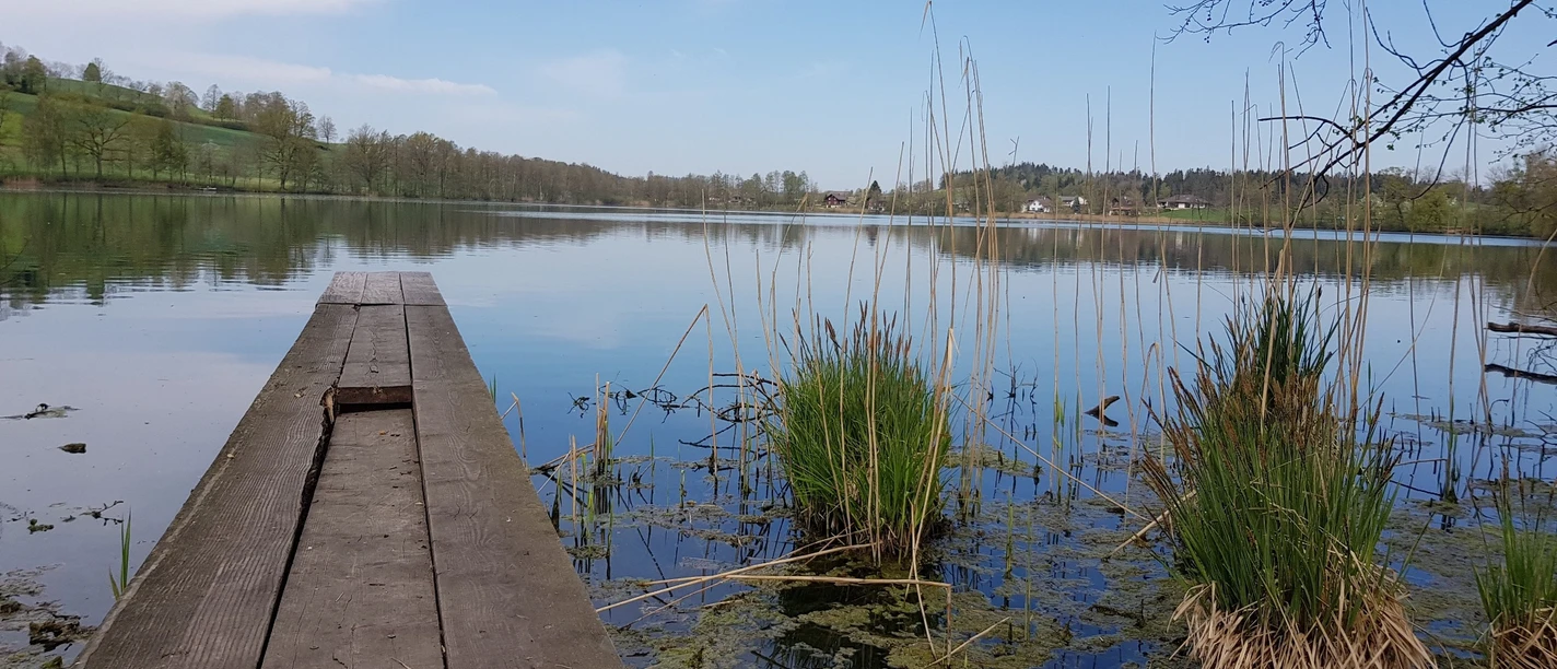 Am Ufer des Soppisee