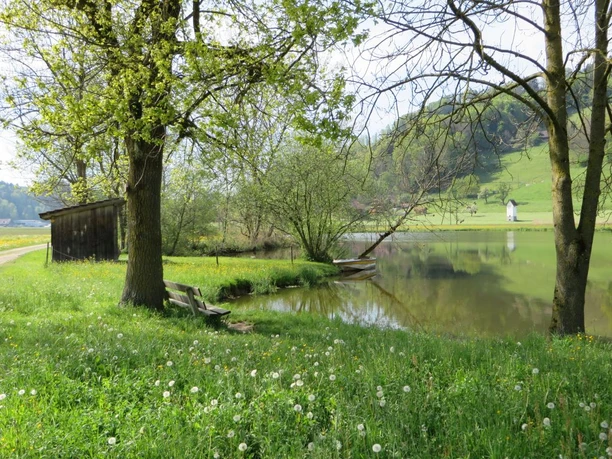 Weiherlandschaft Ostergau
