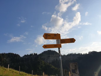 Wegweiser bei der Alp Trachselegg
