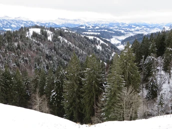 Blick Richtung Norden