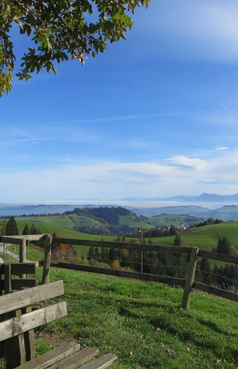 Aussichtspunkt Oberlehn Menzberg