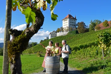 Weingut Heidegg