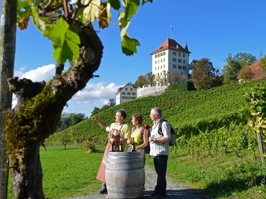 Weingut Heidegg