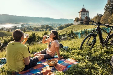 Das Weingut des Schlosses Heidegg im Seetal eignet sich bestens für einen Zwischenstopp auf der Route 1291.