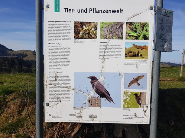 Immer wieder erfahren wir interessante Fakten über Natur und Landschaft