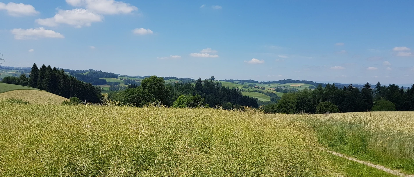 Unterwegs über den Vorberg