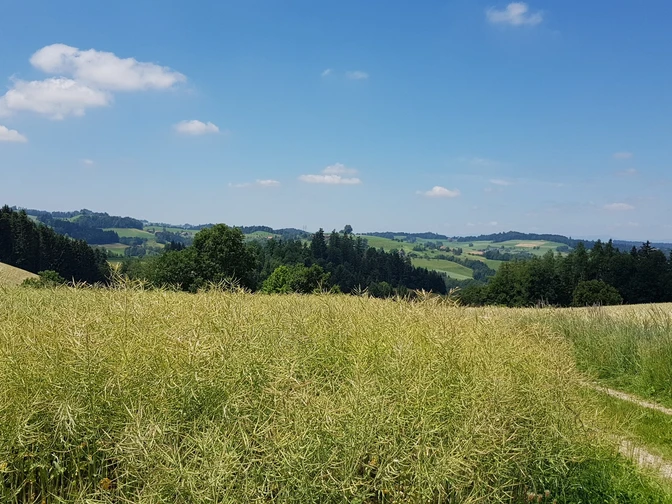 Unterwegs über den Vorberg