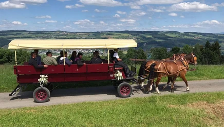 Kutschenfahrt im Seetal