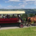 Kutschenfahrt im Seetal