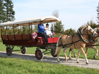 Kutschenfahrten Baumli