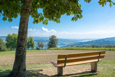 Aussicht Homberg