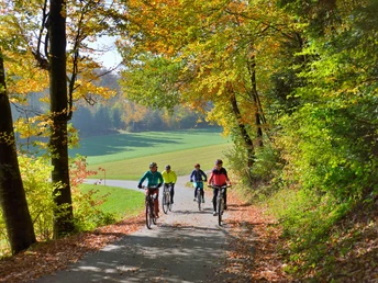 Herzschlaufe Seetal Westast im Herbst