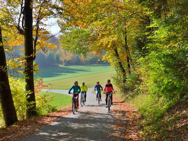 Herzschlaufe Seetal Westast im Herbst