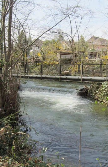 Aabach bei Lenzburg