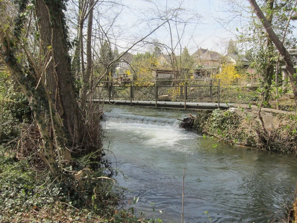Aabach bei Lenzburg