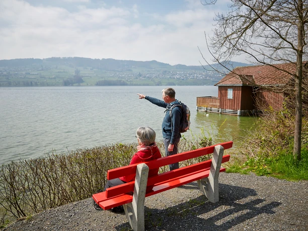 Seeuferweg Hallwilersee