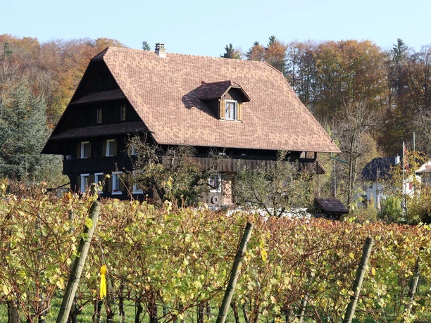 Weingut Klosterhof