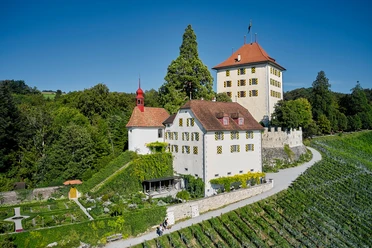 Schloss Heidegg