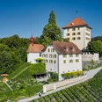 Schloss Heidegg