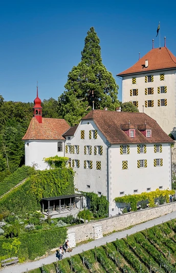 Schloss Heidegg