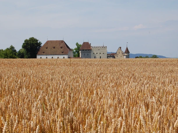 Walking Trail 1 Lenzburg