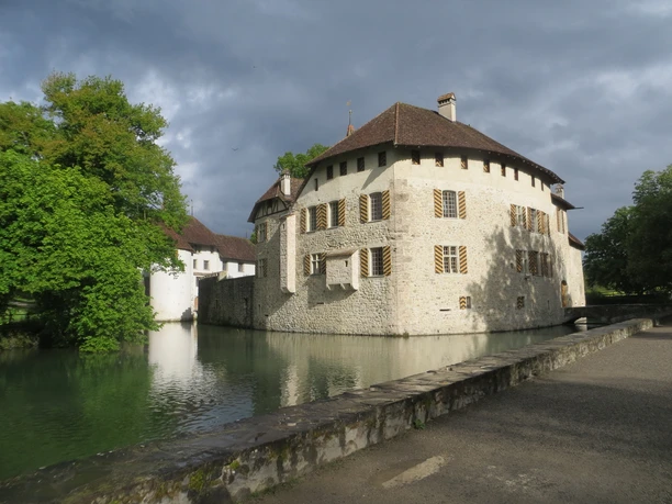 Seetal: Wandertipp Nr.9 Schloss Hallwyl - Eichberg - Schloss Hallwyl