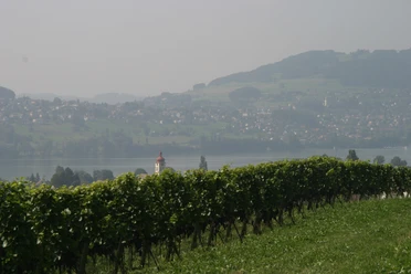 Seetal: Wandertipp Nr.10 Meisterschwanden - Bettwil - Aesch LU