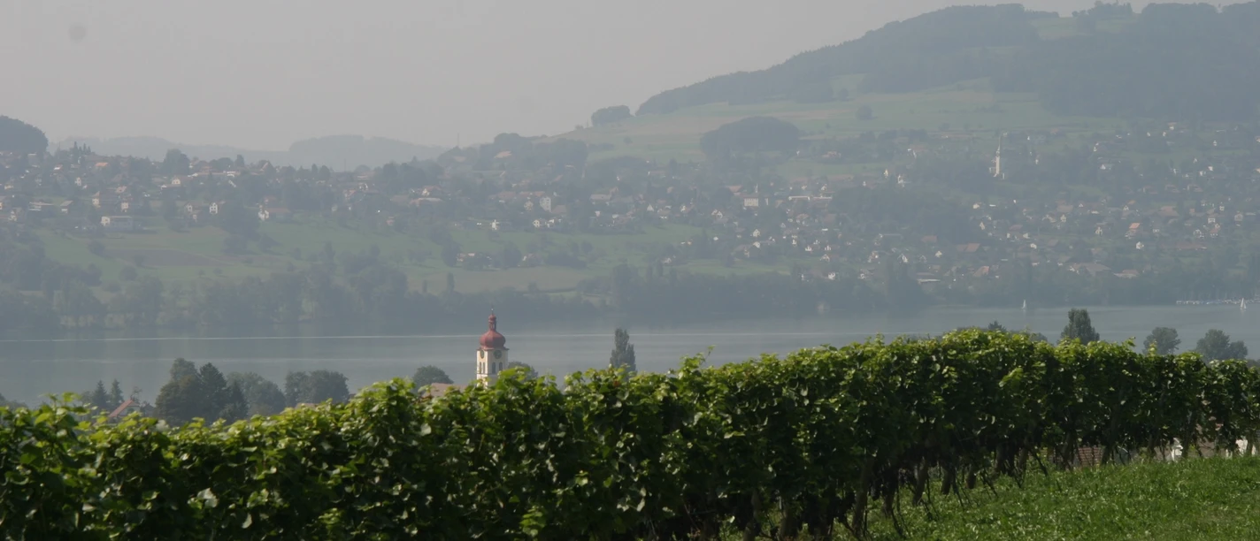 Seetal: Wandertipp Nr.10 Meisterschwanden - Bettwil - Aesch LU