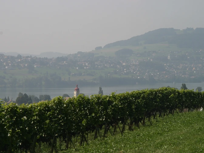 Seetal: Wandertipp Nr.10 Meisterschwanden - Bettwil - Aesch LU