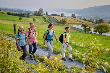 Wandergruppe auf dem Eichberg Seengen