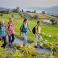 Wandergruppe auf dem Eichberg Seengen