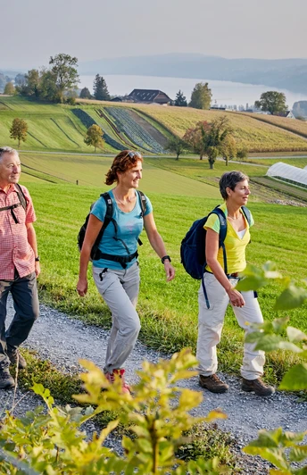 Wandergruppe auf dem Eichberg Seengen